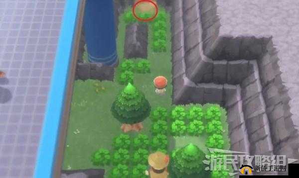 宝可梦晶灿钻石明亮珍珠，深入探索绿色石像所隐藏的神奇奥秘