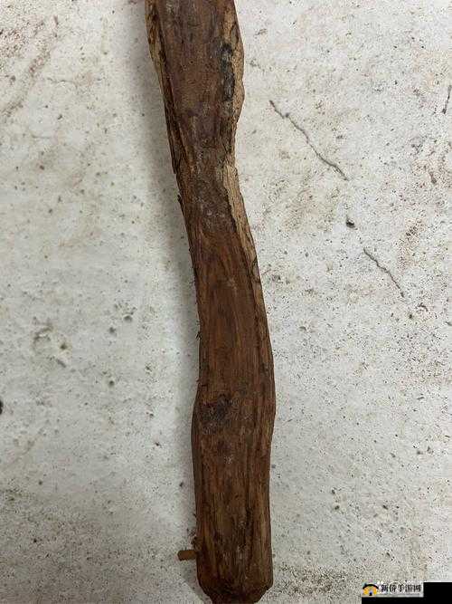 一根又长又粗又大又硬起来了的木头躺在地上
