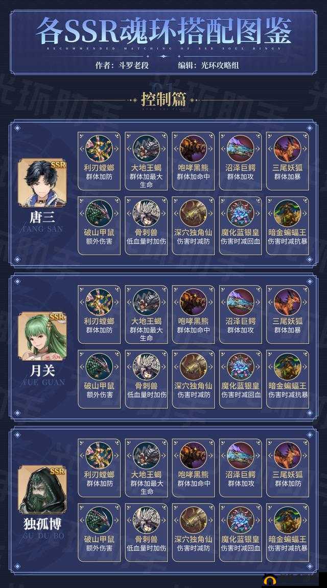 斗罗大陆斗神再临，玩家必备指南，全面解析魂环选择与搭配策略
