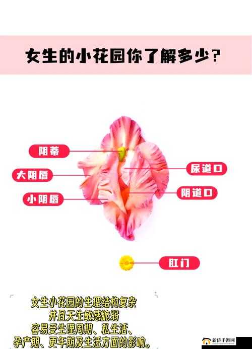 亲小花园的实用技巧及详细步骤分享