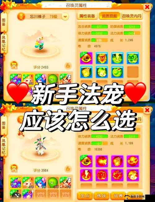 梦幻新诛仙宠物全方位培养攻略，从选择到养成，打造你的专属战斗伙伴