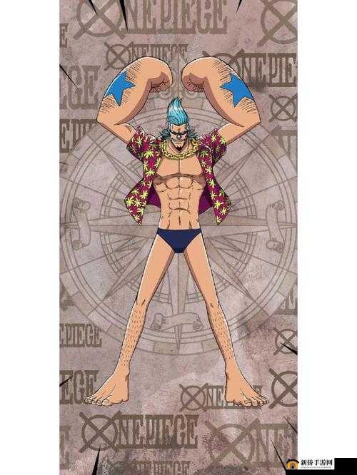 航海王热血航线深度剖析，弗兰奇技能全解析及高效实战攻略