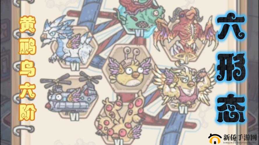 最强蜗牛游戏中黄鹂鸟图谱获取位置及物种图谱黄鹂鸟收集攻略