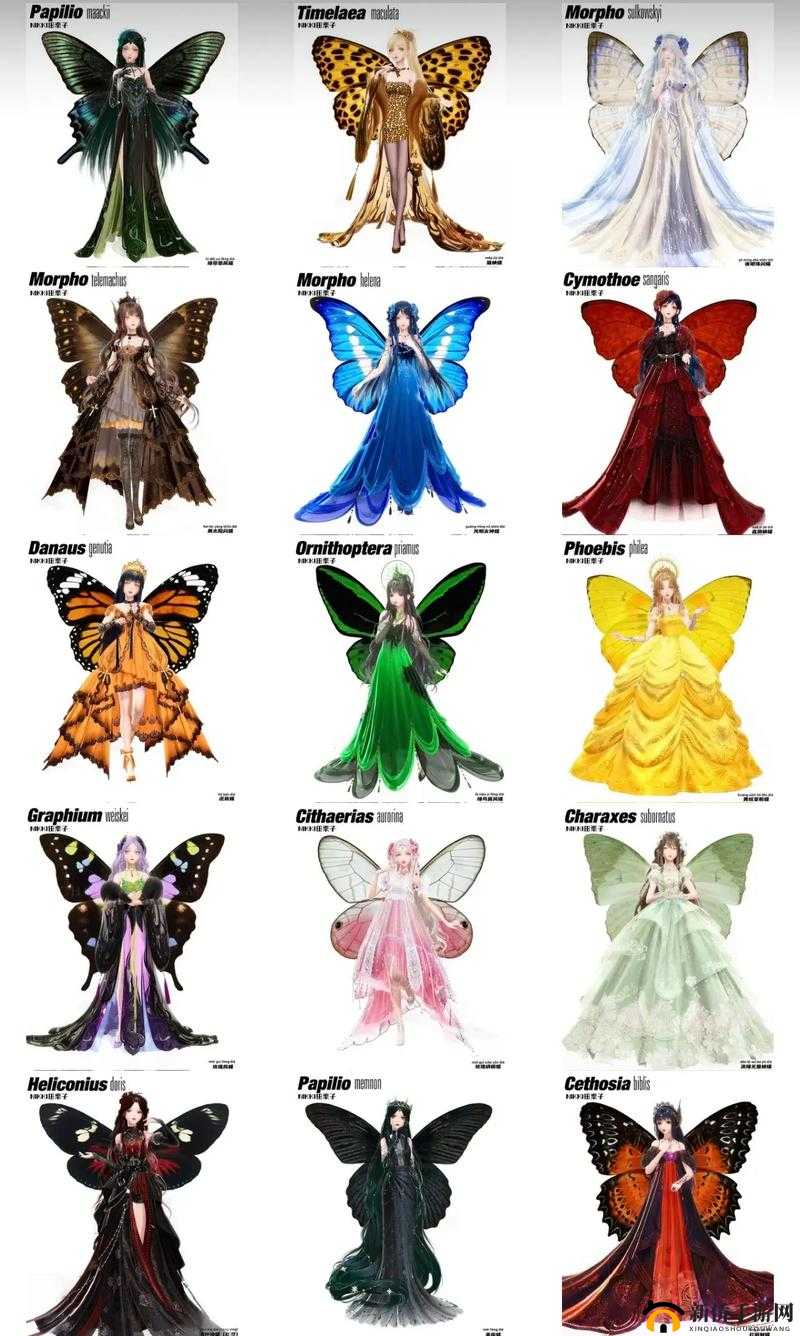 奇迹暖暖花瓣小蝴蝶主题搭配，如何选择才能惊艳全场？