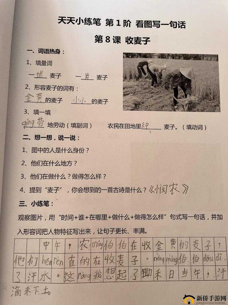 麦子交换系列最经典十句话有哪些？快来一探究竟或者：麦子交换系列最经典的十句话是什么？赶紧了解一下