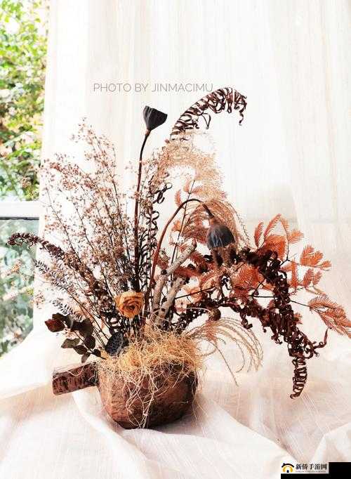 如何用干花打造出高级感满满的家居装饰？干花插花造型图片欣赏带你领略不一样的美