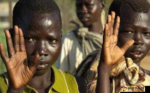 日本是如何处理黑人问题的？深入探讨日本社会对黑人族群的态度与政策