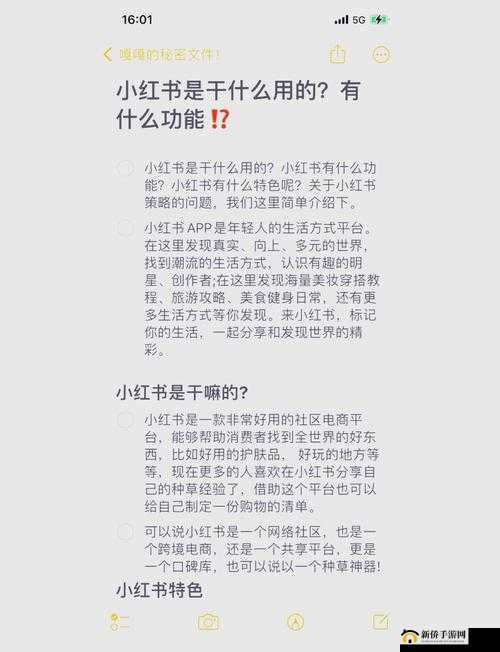 探索如何免费得成人网站：安全访问与隐私保护的全方位指南