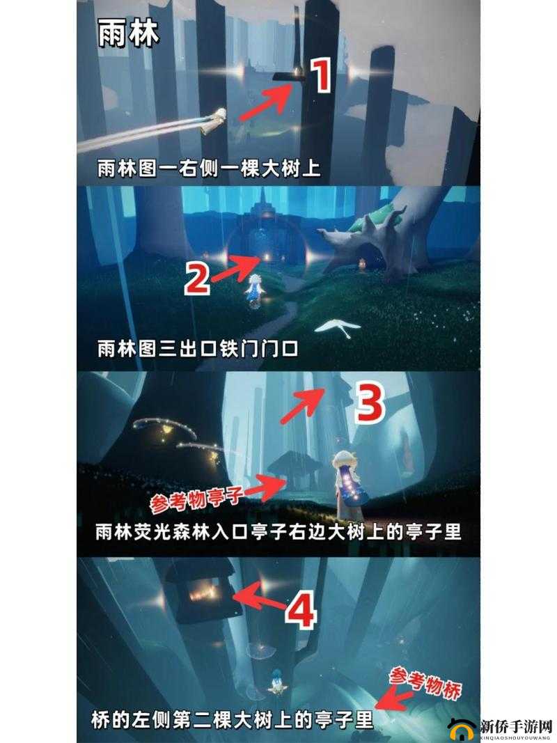 光遇游戏中雨林小树苗究竟藏身何处？全面解析雨林小树苗位置大全