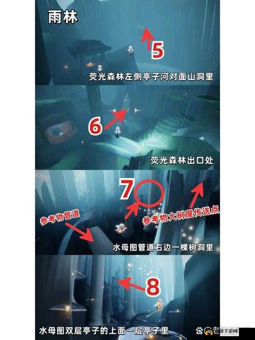 光遇玩家必看，坐赏雨林小树苗究竟藏身何处？任务完成全攻略！