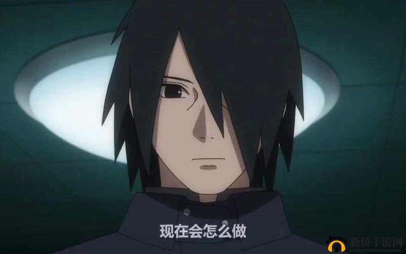 火影忍者博人传大结局：佐助和鸣人联手对抗大筒木辉夜姬，鸣人的儿子博人成为第七代火影