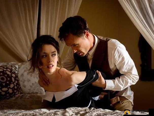 欧美精品天堂 AV 片：成人影片的诱惑与争议