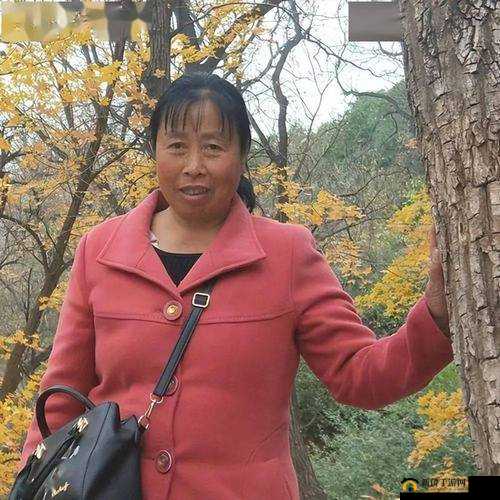 东北老女人高潮对白：探索性爱的奥秘