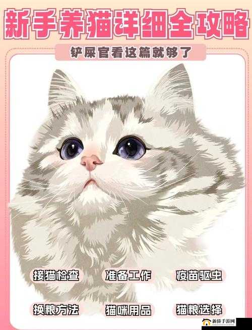 小森生活怎么玩？新手养猫必备技巧大揭秘，未来玩法革命有何新惊喜？
