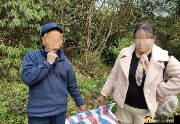 揭秘老年野外树林交易图：真实场景曝光，背后故事令人深思，社会现象引发广泛讨论