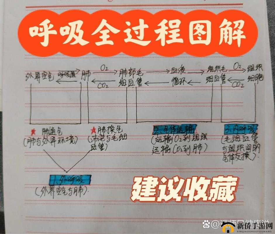 呼吸边缘如何全章节完美通关？Breathedge详细攻略图文汇总揭秘