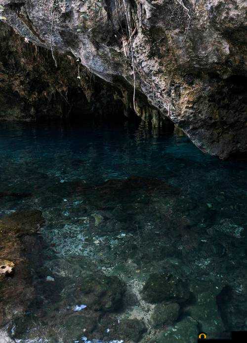 以下几个供你参考：一：探寻神秘 99 无码视频中的精彩故事与别样风情二：令人好奇的 99 无码视频究竟隐藏着怎样的独特魅力三：深度挖掘 99 无码视频背后那些不为人知的精彩瞬间四：聚焦 99 无码视频，探索其中蕴含的无尽趣味与神秘之处五：揭开 99 无码视频的神秘面纱，一探究竟其独特亮点与精彩内容