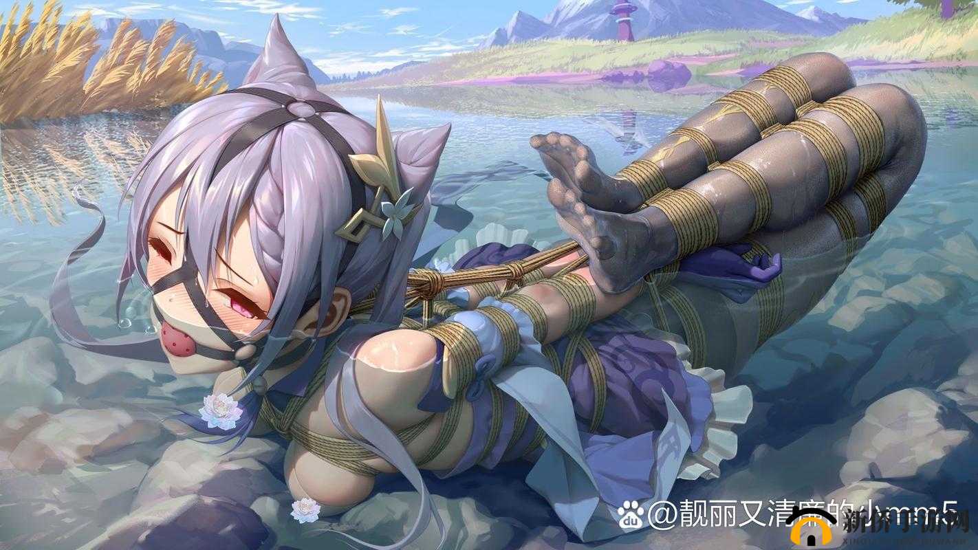 刻晴甘雨被抓，疑云密布盗宝团的背后究竟隐藏着怎样的阴谋？