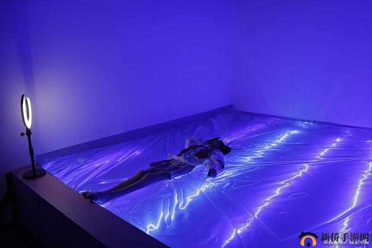 水床到底是干什么用的？一文带你全面了解水床的功能与用途