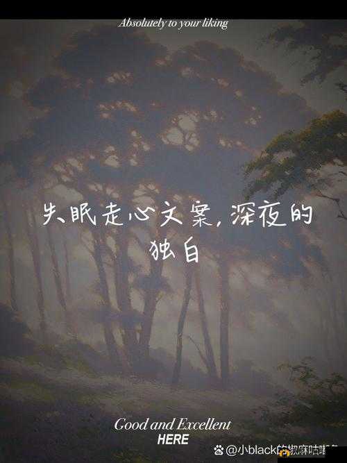 深夜释放自己：荔枝视频带你探索心灵深处的宁静与自由