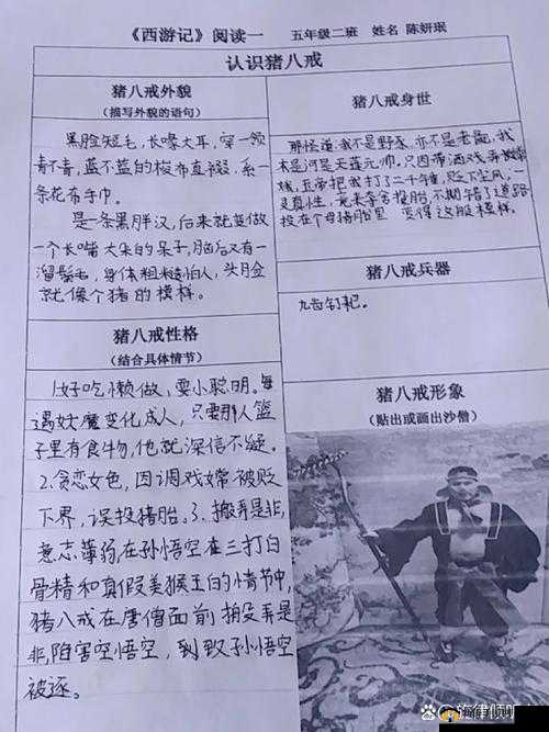 八戒八戒，究竟有何独特魅力？带你深入了解八戒八戒的奇妙世界
