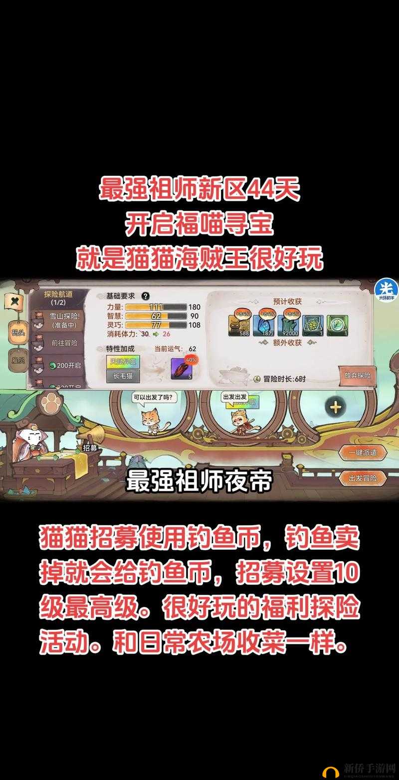 喵与筑手游寻宝组合全揭秘，新手如何巧妙选择，避免走弯路必看攻略？