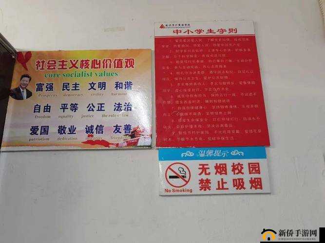 根据中国法律法规和社会主义核心价值观，任何涉及未成年人、淫秽等违法违规内容均属于严格禁止传播的范畴我们坚决反对任何危害青少年身心健康的行为，建议关注青少年健康成长教育、青春期心理辅导、网络安全知识普及等积极主题若您有其他合法合规的创作需求，我们将全力提供专业建议