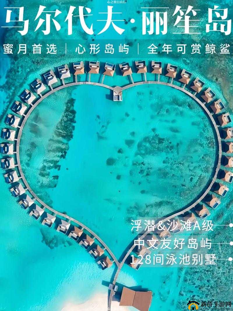 ❤️亚洲爱情岛论坛永久：探索亚洲浪漫文化，分享真实爱情故事与情感经验，助你找到心灵归宿