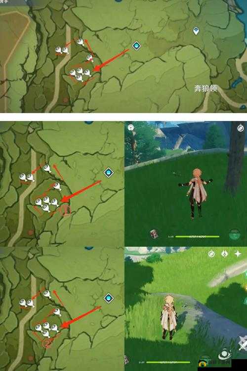 原神手游中如何捕捉蜥蜴并获取其尾巴？详细方法揭秘！