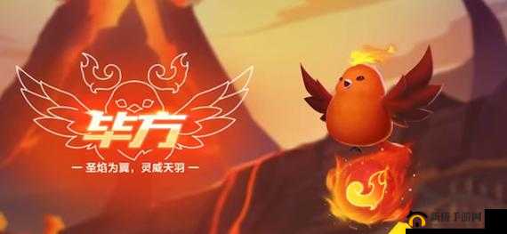 QQ飞车手游毕方如何获取？揭秘金秋萌宠技能演变史引悬念