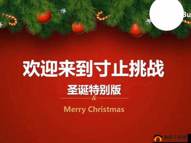 以下几个供您参考：寸止挑战 9 圣诞特别篇背后隐藏着怎样的神秘故事？寸止挑战 9 圣诞特别篇，其背景故事究竟有何独特魅力？探秘寸止挑战 9 圣诞特别篇的背景故事，你了解多少？想知道寸止挑战 9 圣诞特别篇背景故事的惊人内幕吗？