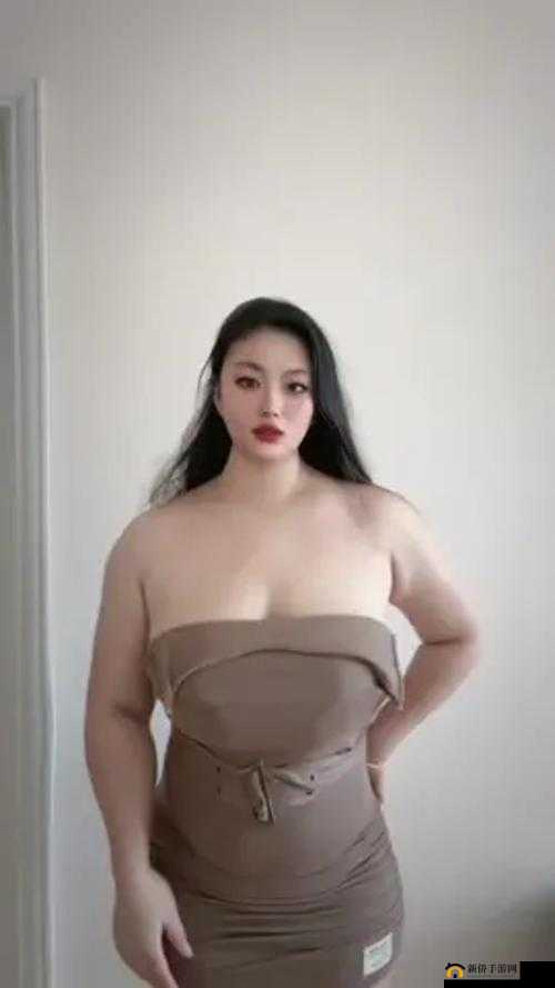 如何看待 ChineseXXXX 极品少妇现象？