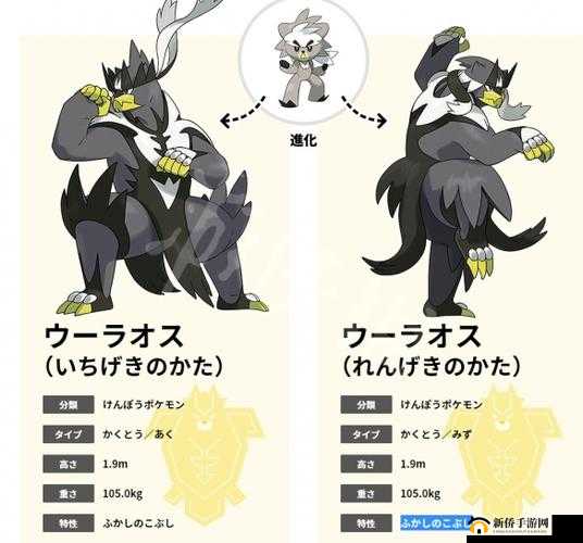 宝可梦剑盾熊徒弟进化两个形态哪个好？一击流和连击流对比