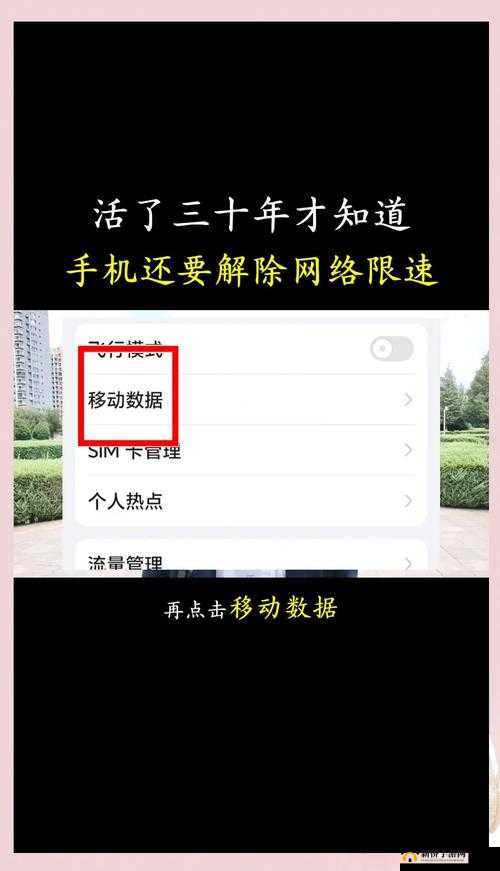 手机网络限速怎么解除？一文教你轻松搞定限速难题或者：手机网络限速怎么解除？这些方法你必须知道