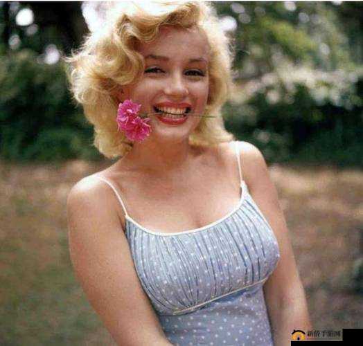 1981 版金发女郎究竟有何独特魅力？为何能引发广泛关注与热议？