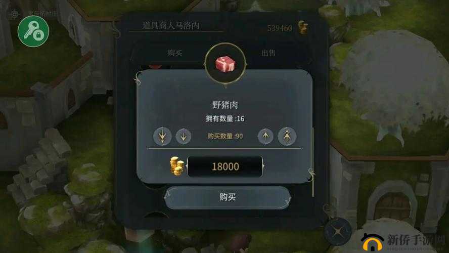 魔女之泉4金币获取秘籍，野猪肉料理速刷法能否引领未来玩法新潮流？