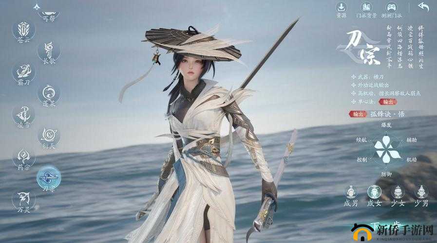 剑网3指尖江湖中，哪些非辅助定位的女性输出角色值得一试？