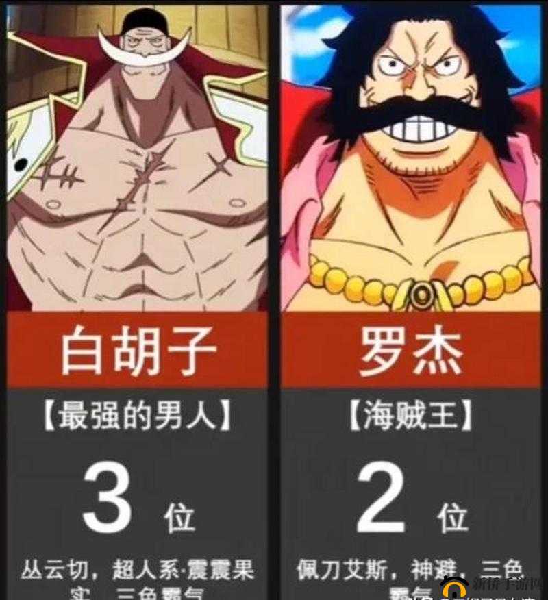 航海王启航热门角色战斗力如何？站位分析与未来玩法有何革命性预测？