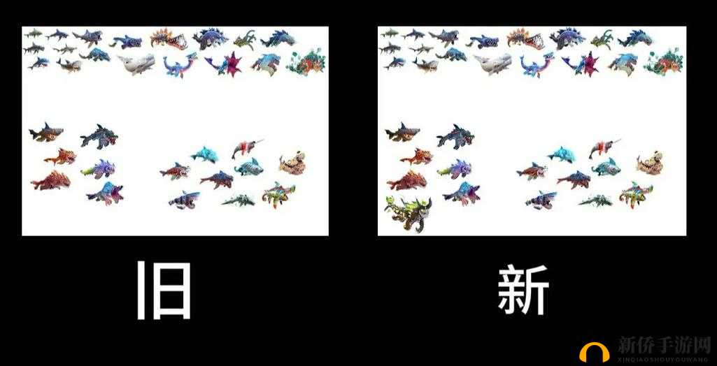 鲨鱼大全揭秘！饥饿的鲨鱼进化中，哪些鲨鱼最令人惊叹？