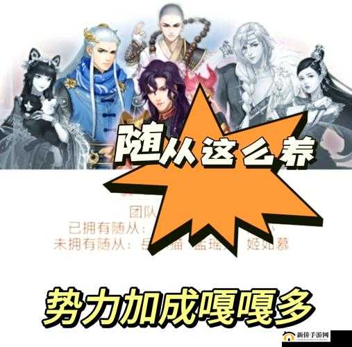 如何在魔法X弹幕手游中高效管理资源，找到最强随从攻略？